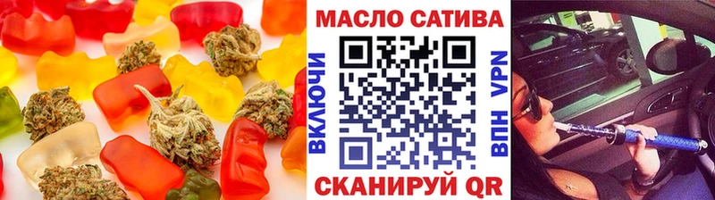 купить наркоту  Судогда  Cannafood конопля 