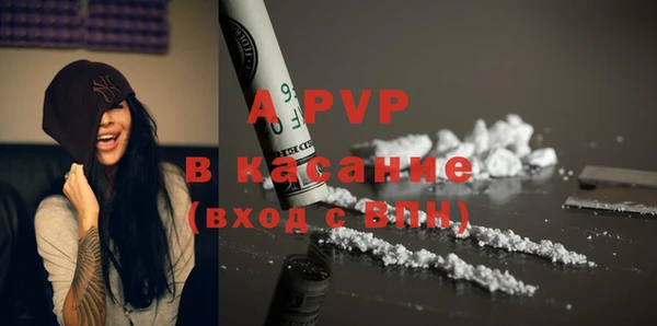 гашик Богородск